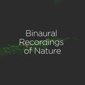 Binaural Recordings of Nature album