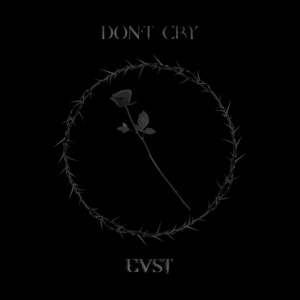 EVST - На тебя смотрю