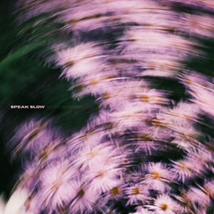 Speak Slow by Garden Eyes