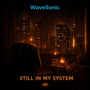 Still in My System by WaveSonic Collective