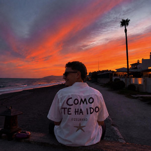 COMO TE HA IDO by Zelkkko