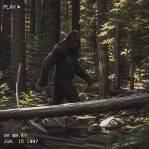 Big foot by Vrt3miz