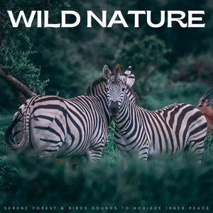 Wild Nature: Serene Forest & Birds Sounds To Achieve Inner Peace album