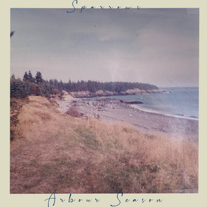 Sparrows by Arbour Season