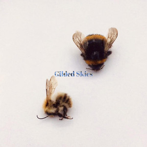 Gilded Skies
