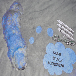 Cold black memories by The Vandalis