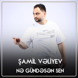 Şamil Vəliyev - Nə Gündəsən Sen