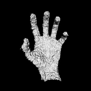 organism by Moldhands