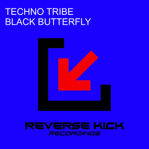 Black Butterfly - Radio Edit by Intechno