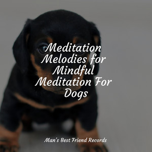 Meditation Melodies for Mindful Meditation For Dogs album