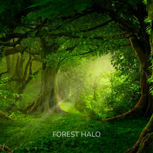 Dreamer - Loopable Noise by Forest Halo