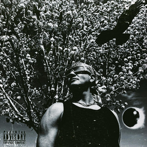 SHADOWS IN THE NIGHT (feat. Breadwinner)
