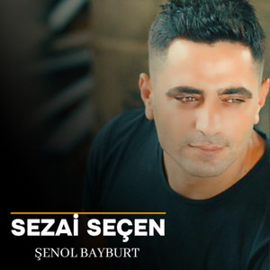 Şenol Bayburt