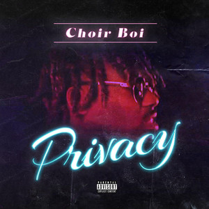 Portada de Privacy
