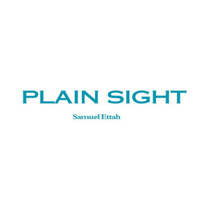 Plain Sight by Samuelettah