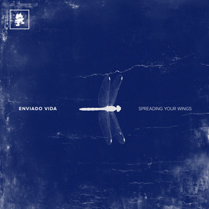 Enviado Vida — Spreading Your Wings (2026)