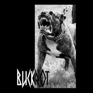 BUCKROT by Scriptz, Jon T