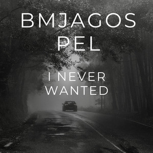 I Never Wanted by BMJAgospel