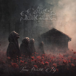 My Wounds Are Eternal by Cultus Sanguine