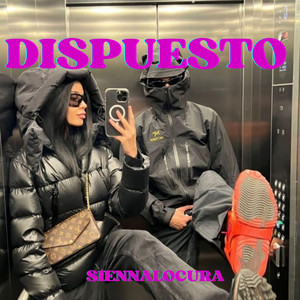 Dispuesto by SiennaLocura
