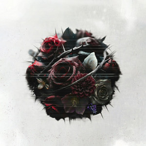 Burden by Novelty