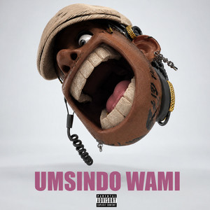 Umsindo Wami by Kokodjia, Prince Kaybee, Leemckrazy