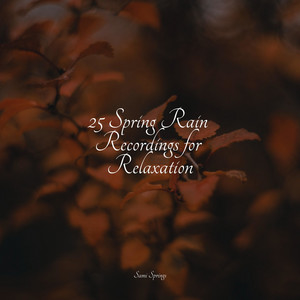 25 Spring Rain Recordings for Relaxation album