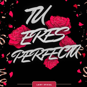 Tu Eres Perfecta by Laiky Oficial