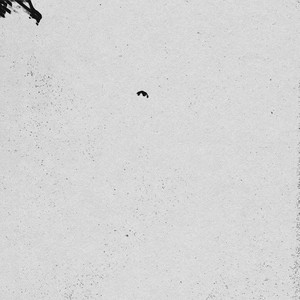 wakeup by bedroom noise