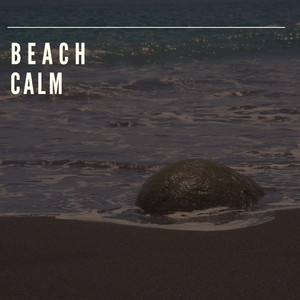 Quiet Beach Calm album