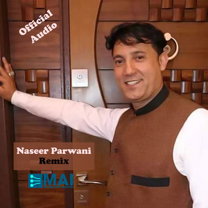 Naser Parwani - Remix (Remix)