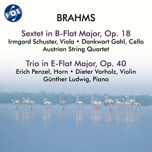 Brahms: String Sextet No. 1 in B-Flat Major, Op. 18 & Horn Trio in