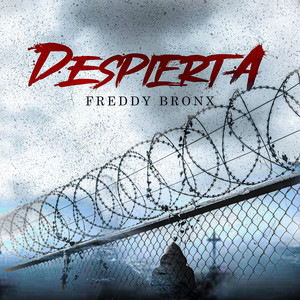 DESPIERTA by Freddy Bronx
