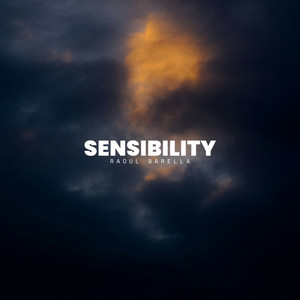 Sensibility by Raoul Barella