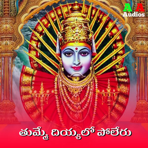 TUMME DIYYALO POLERU