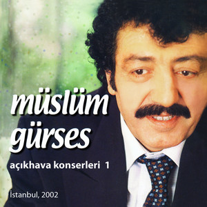 Müslüm Gürses - Dalgalandımda Duruldum
