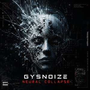 Neural Collapse cover art