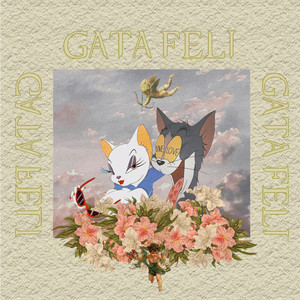 Gata Feli