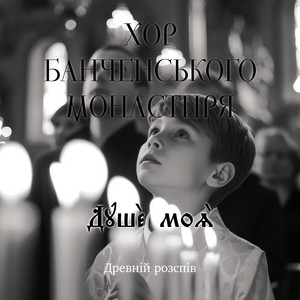 Душе моя (Live)