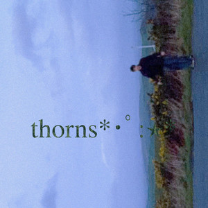 THORNS by cloverscars