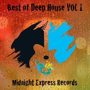 DEEP HOUSEレコードセット６枚