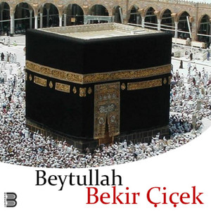 Bekir Çiçek - Ağla İstersen