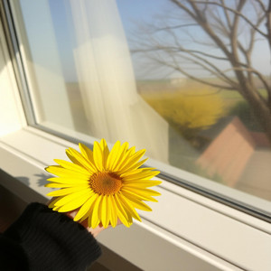 The Little Things