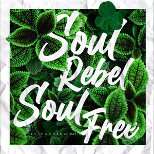 Soul Rebel, Soul Free cover