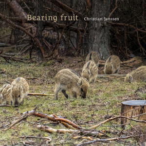 Bearing fruit by Christian Janssen