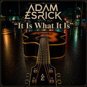 It Is What It Is by Adam Esrick