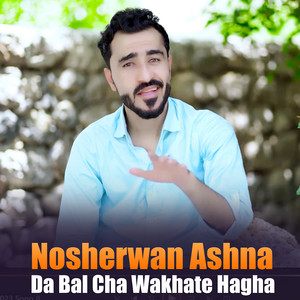 Nosherwan Ashna - Za Sam Da Toro Stargo Sadaqa