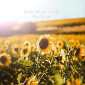 Sunflower by Saga Sígurðsdottír