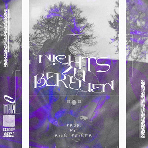 Nichts zu bereuen - Instrumental by DTD, Rius Reiser