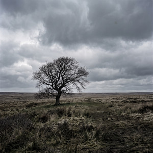 Just Before by Emil Thorvaldsen